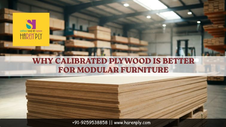 Calibrated Plywood is Better for Modular Furniture